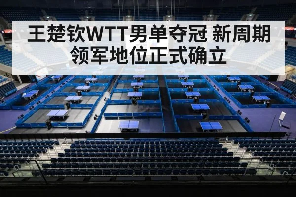 table tennis championship